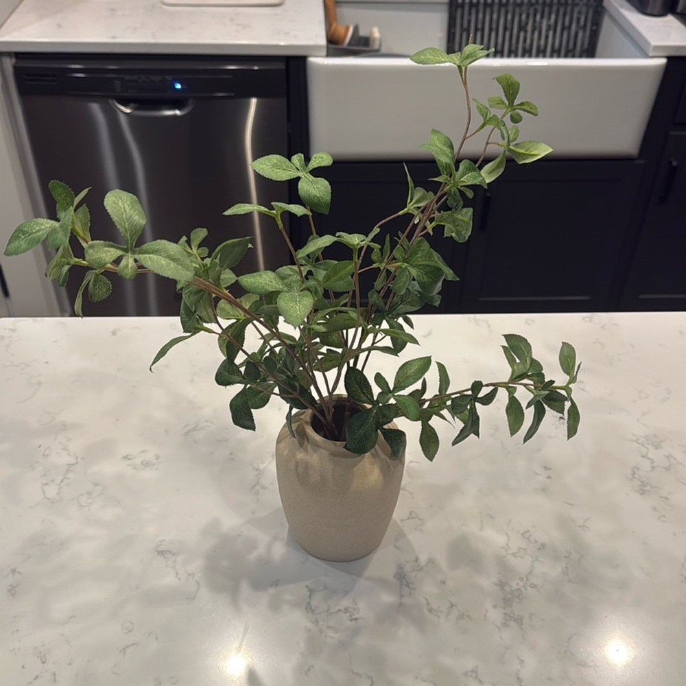 Hearth & Hand Faux Plant